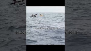 фильм на вечер