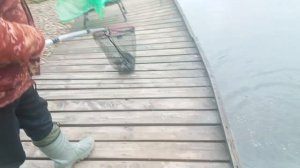 Основной водоём,на банан