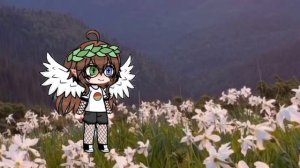 пж подпишитесь там вся инфармация