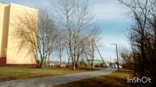 чудесное пение птиц в пасху