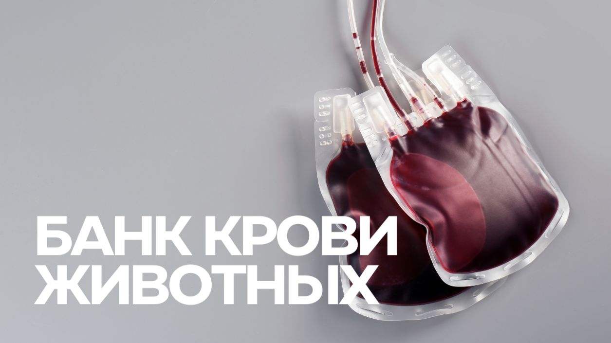 Банк крови животных БИОТА