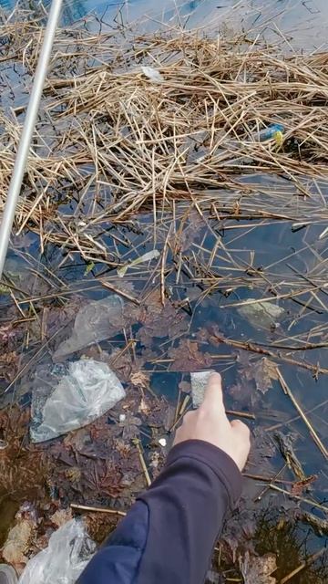 Ни х… себе.