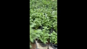 10 апреля 2026