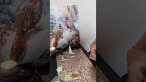 Совет от Бенжамина