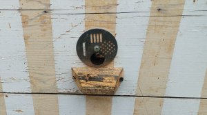 Полный обзор моих пчел и их состояние.