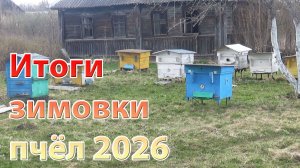 Головокружительные итоги зимовки пчёл. Пасека 2026.
