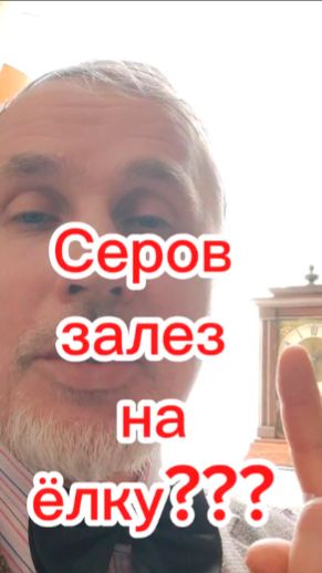 Валентин Серов залез на ёлку???