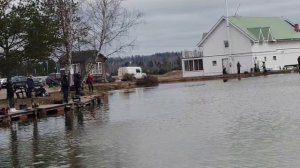 утренние поимки форели