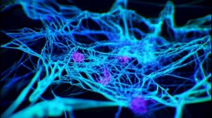 🔥💼  ЗАПУСК НЕДЕЛИ: Топ-хит, который включит режим «ГТО»! ⚡