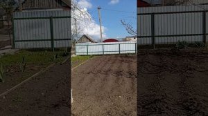 1000103950.mp4со светлой Пасхой