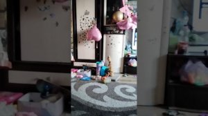 Как сделать колисо с 1 рукой и д р за 6 минут