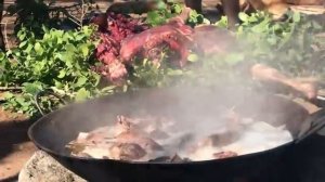 Племя Хадзабе ловит зебру.