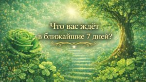 Что ждёт в ближайшие 7 дней? Гадание пасьянс Tarot Reading