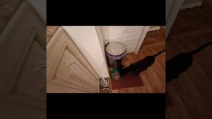 утка понравилась всем!