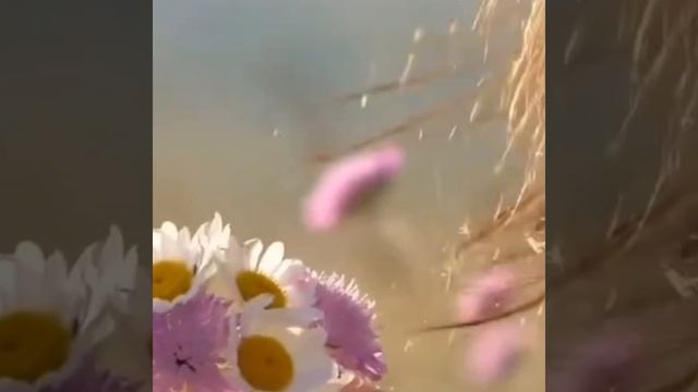 Каждый день неповторимый!