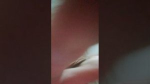 кто квадровер ?