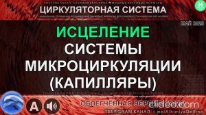 Исцеление Капилляров и Эндотелия 💧 Восстановление Микроциркуляции  Регенерация Микрососудов