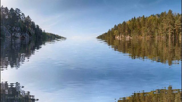  ЗВУКИ ПРИРОДЫ БЕЗ МУЗЫКИ: ЖУРЧАНИЕ РУЧЬЯ ПЕНИЕ ПТИЦ У РЕКИ40 минут 4К