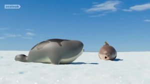 LOLㅣSEALOOKㅣEP.16