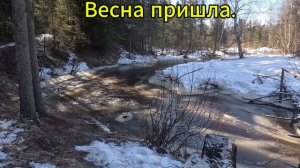 Весна пришла на реку.