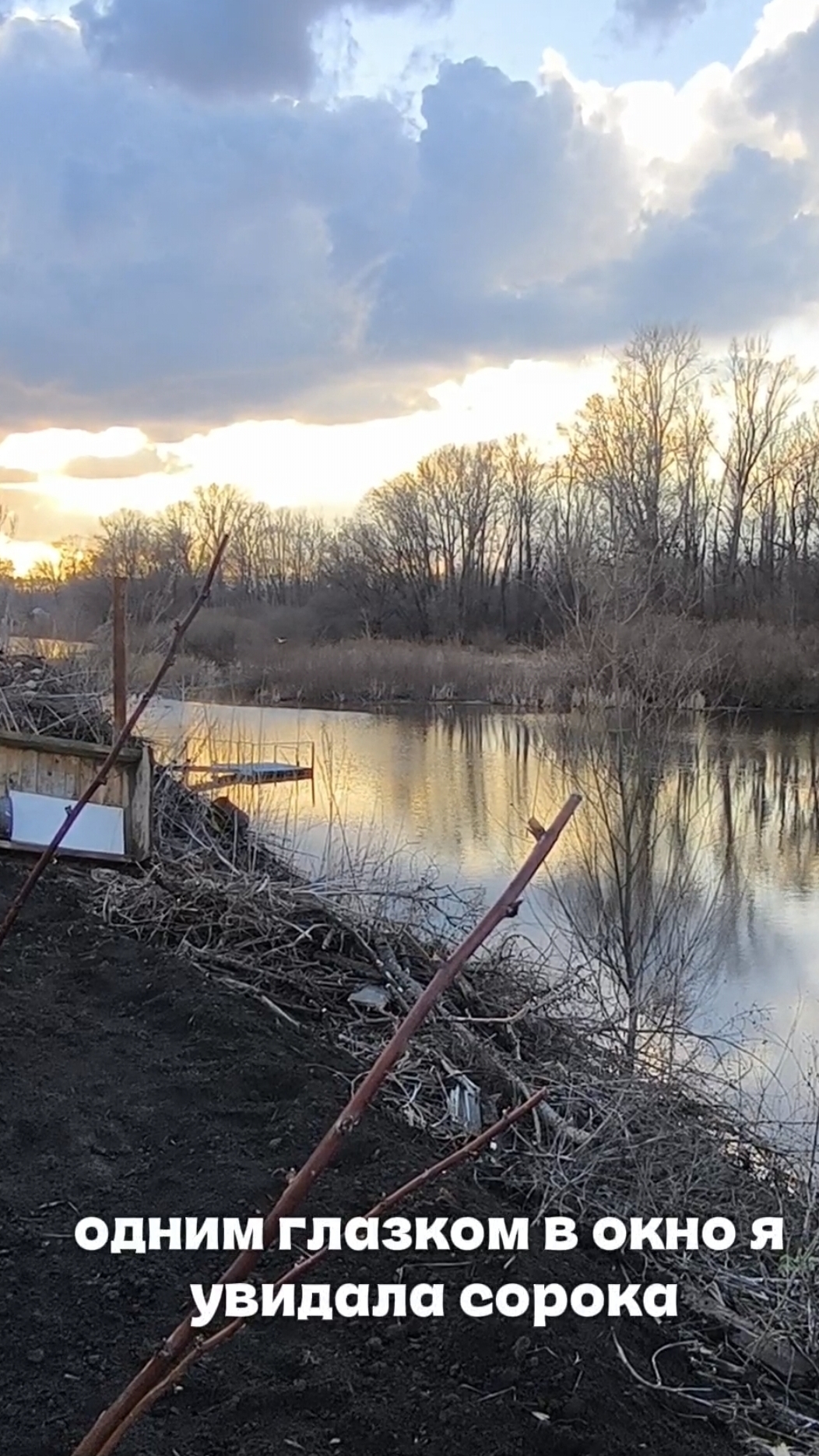Одним глазком в окно я увидала