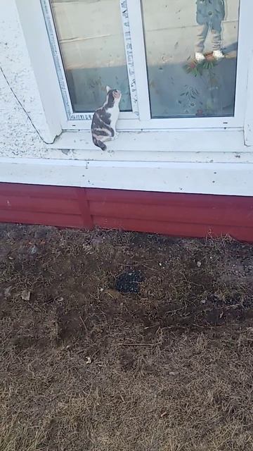 Где-то в России!!!