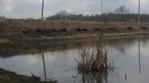 12.04.2026.Ляховский край.Уно-Моменто!25/7/365. Губернаторский. Ляхово TиVи. Усадьба Парк Кинематогр