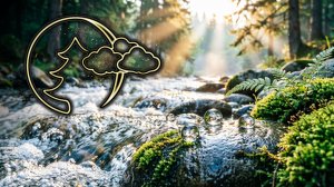 🌲ASMR Шум реки для сна и медитации|Журчание воды в лесу — глубокий релакс и природа🌊Noise of River