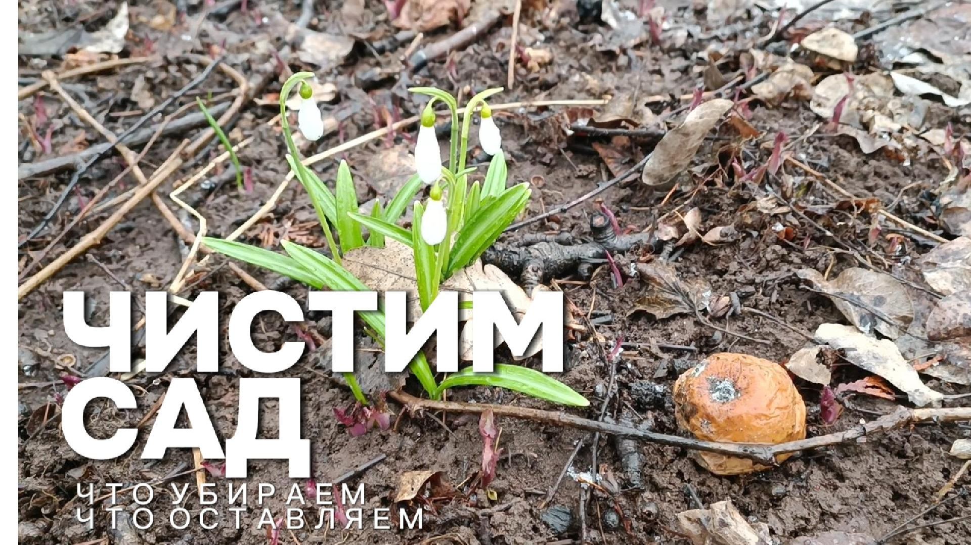 МИКРОСАД. ЧИСТИМ САД