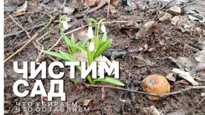 МИКРОСАД. ЧИСТИМ САД
