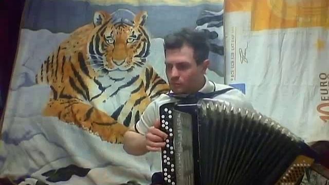 Баянист Сурмач Андрей Викторович Andrew Surmach прои Засвистали казаченьки Украинская народная песня