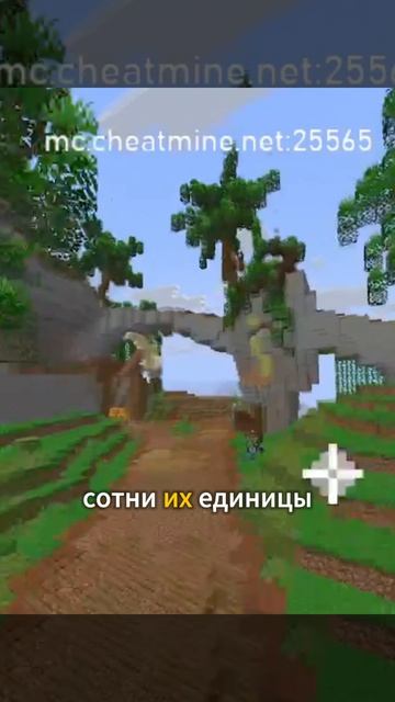 у читмайна проблемы