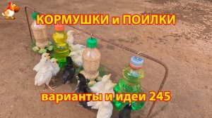 Кормушки и поилки для кур своими руками 245 🪚✂️ Пошаговая инструкция как сделать 🐔 🐓❣️