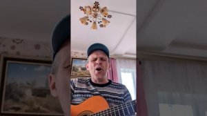 кавер на гитаре Нейромонах Феофан,, До берегу,,