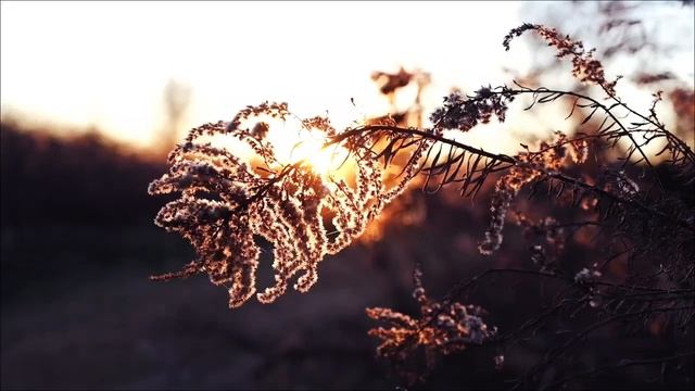 Нет сил, все болит и рушатся планы_ 15 апреля все можно изменить.