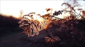 Нет сил, все болит и рушатся планы_ 15 апреля все можно изменить.