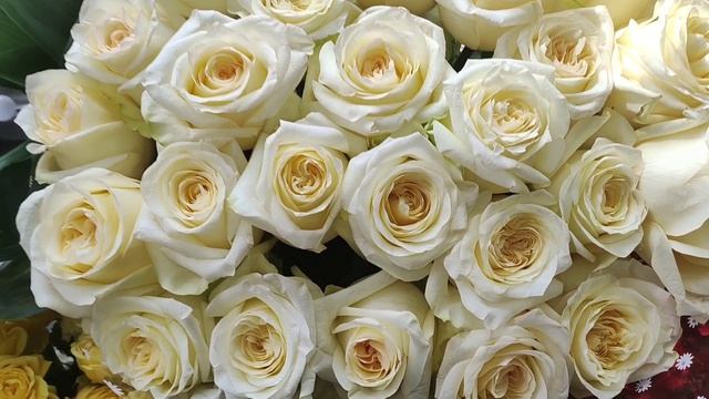 С праздником Светлой Пасхи.🌹🌹🌹