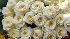 С праздником Светлой Пасхи.🌹🌹🌹