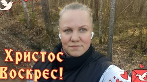 Христос Воскрес друзья