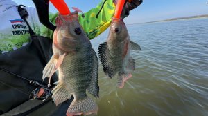 Ловля экзотической рыбы. Нововоронеж