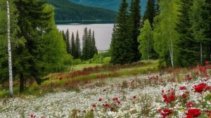 Ты Мой Бог Святой..  Елена Кочмар