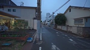 Пригород Токио Япония 2026 Вечерняя прогулка по району Кацусика