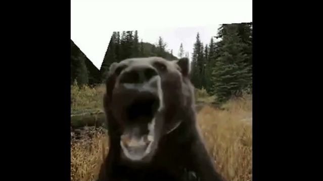 ЛАГГИ МЕДВЕДЬ / FIVE LAGS AT FREDDY’S — МЕМ ИЗ КОММЕНТАРИЕВ (ФАНК) ОРУЩИЙ МЕДВЕДЬ АОАОАООАОА