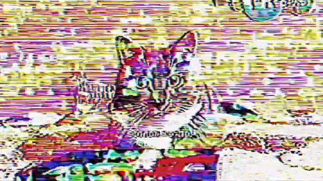 РАРИТЕТ Анонс котинет Чикесель  10.4.2026 10:59