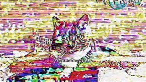 (РАРИТЕТ) Анонс котинет (Чикесель  10.4.2026 10:59)