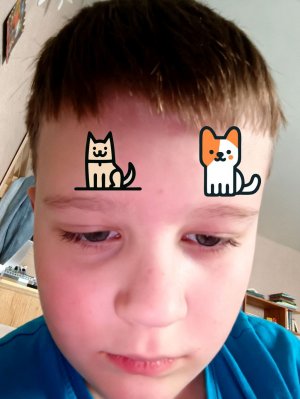 играю в Minecraft