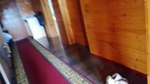 Кира Плакса кто пишет комментарий на тех я и подписываюсь.