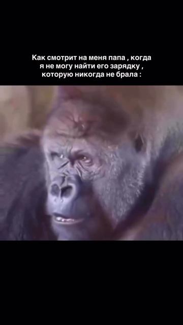 артикул в описании 👇🏻