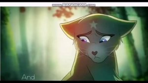 Коты воители ///Мотылинка///Заказ Carmen Studio //всё про клипы в описании)