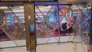 Лиса в Америке Они не ожидалиНа что потратила свою зарплату с YouTubeЖизнь многодетной семьи в США